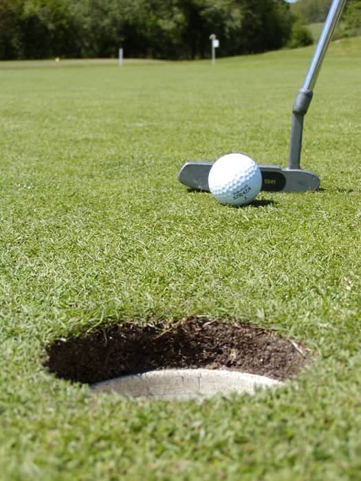 Main image of Antequera Golf