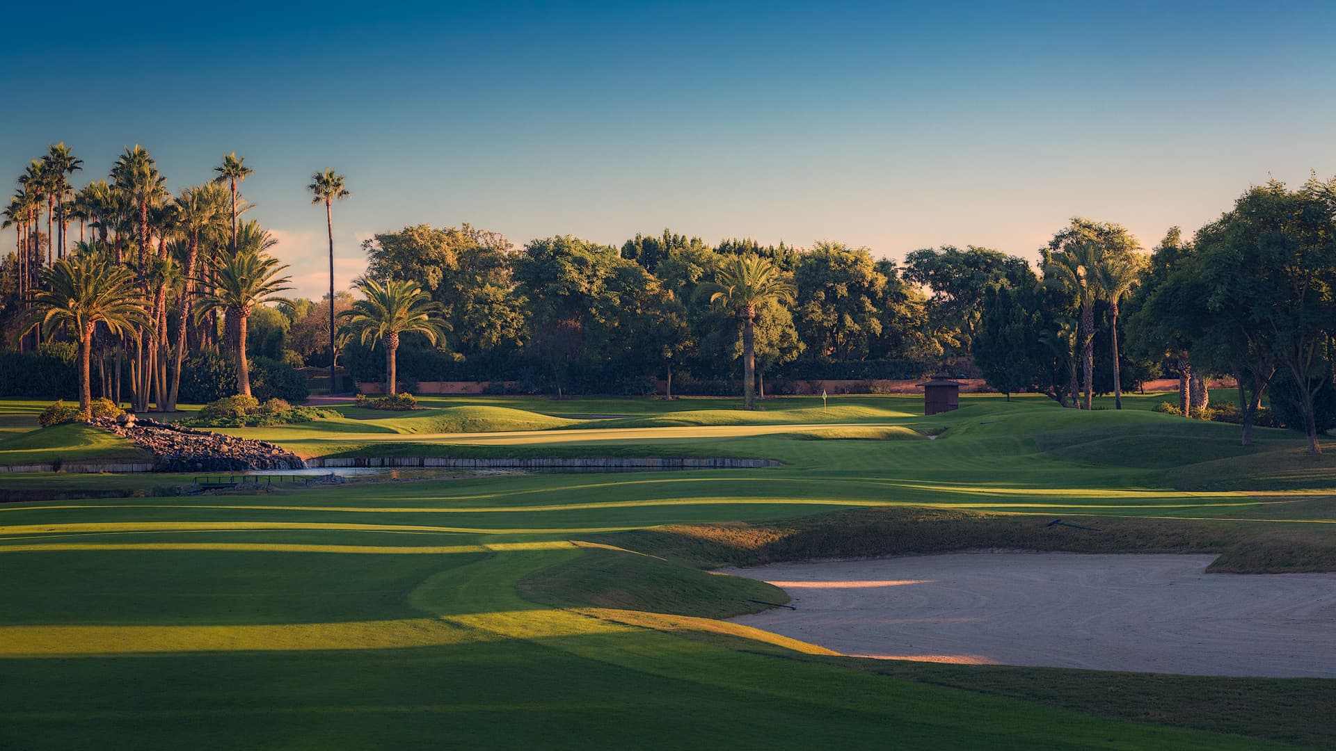 Cover of album 1 from Real Club Sevilla Golf