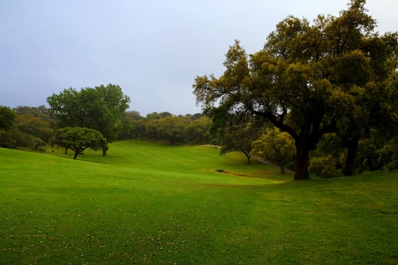 Cover of album 1 from Real Club de Campo de Cordoba