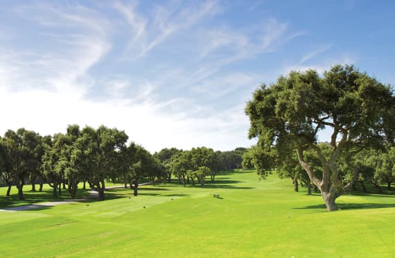 Cover of album 1 from Real Club Valderrama