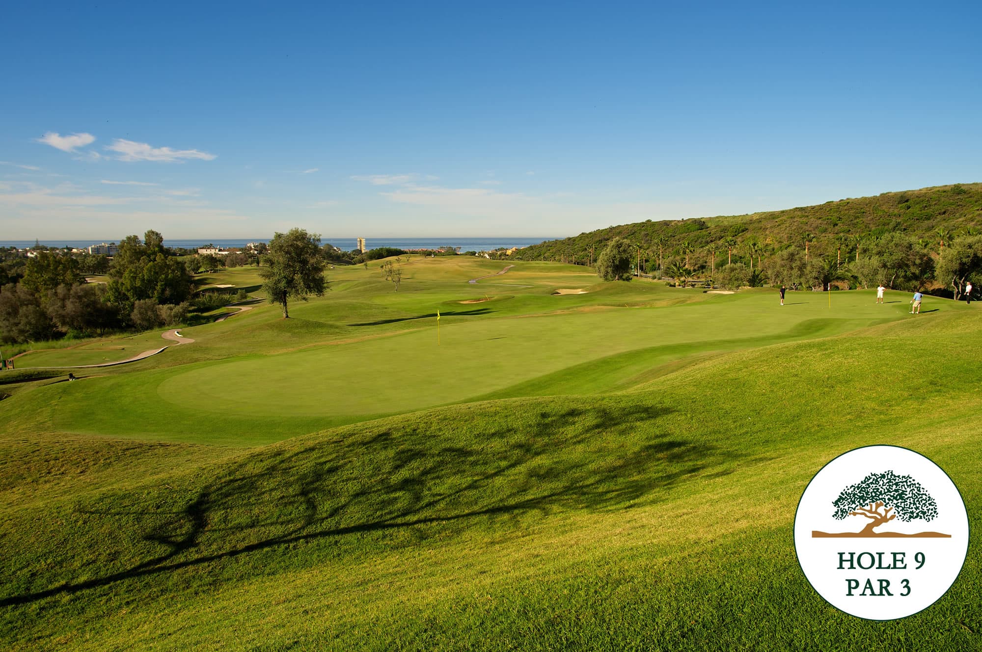 Main image of Higuerón Marbella Golf Resort