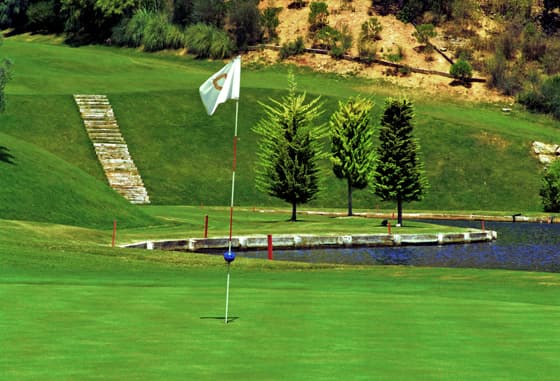 Cover of album 1 from Greenlife Golf Club S.l.