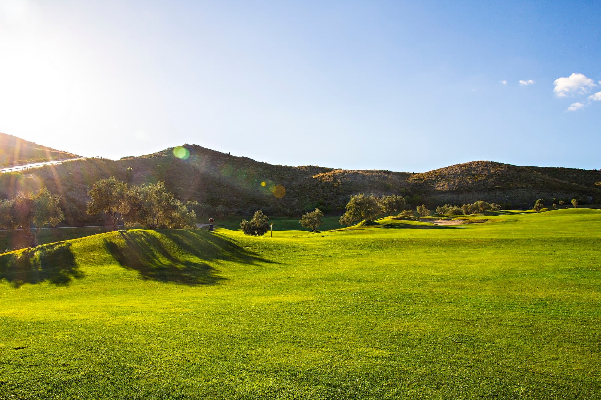 Main image of Villa Padierna Golf Club