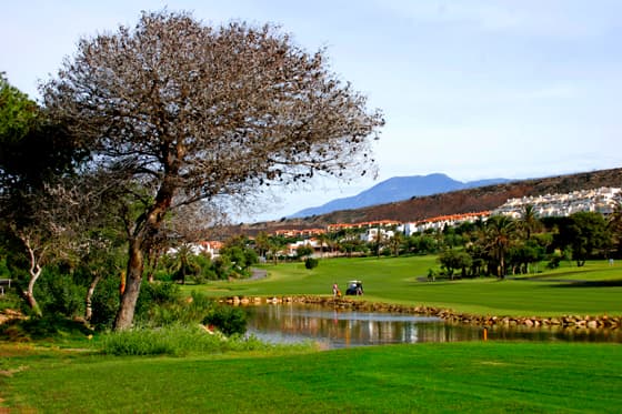 Main image of Golf Almerimar