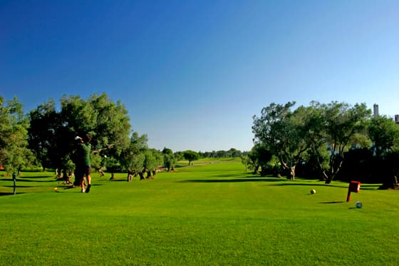 Cover of album 1 from Club de Golf Campano
