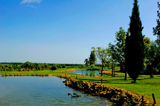 Cover of album 1 from Club de Campo Las Minas Golf