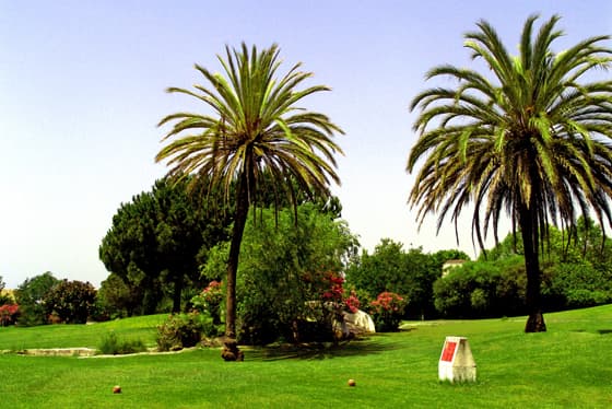 Cover of album 1 from Club de Golf El Coto