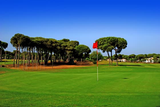 Cover of album 1 from Golf Nuevo Portil