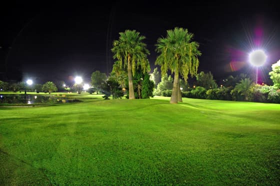 Cover of album 1 from Banus Executive Golf