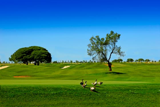 Main image of Villa Nueva Golf & Croquet