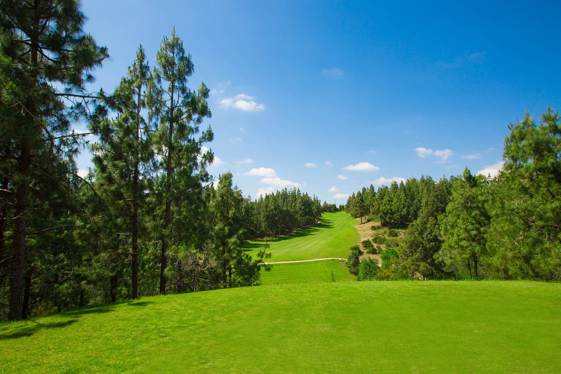 Cover of album 1 from El Chaparral Golf Club