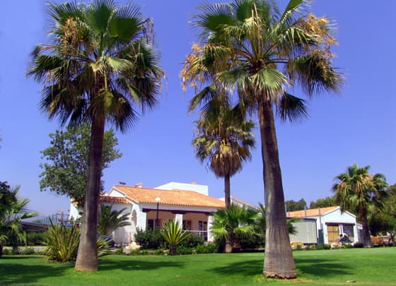 Cover of album 1 from Real Club de Campo de Malaga