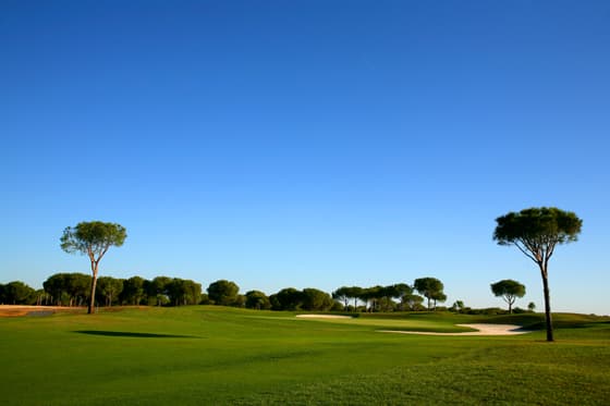 Main image of La Monacilla Golf Club