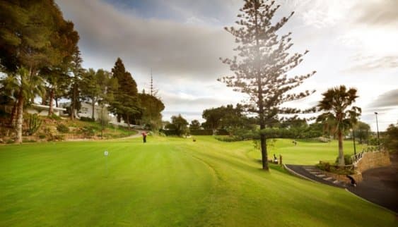 Main image of Aloha Golf