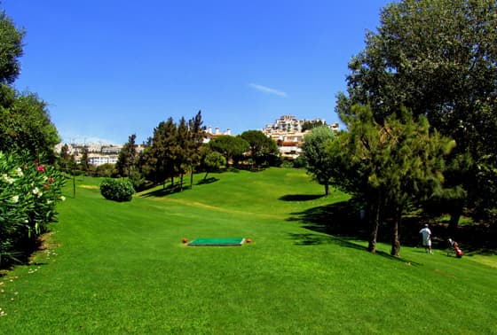 Main image of Club de Golf La Siesta