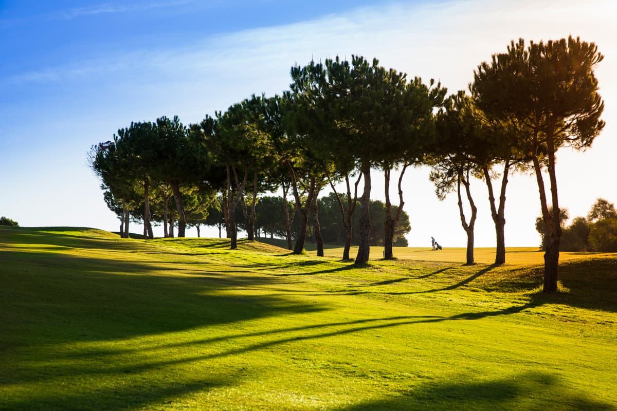 Main image of Club Deportivo Añoreta Golf