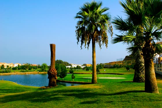 Main image of La Noria Golf And Resort
