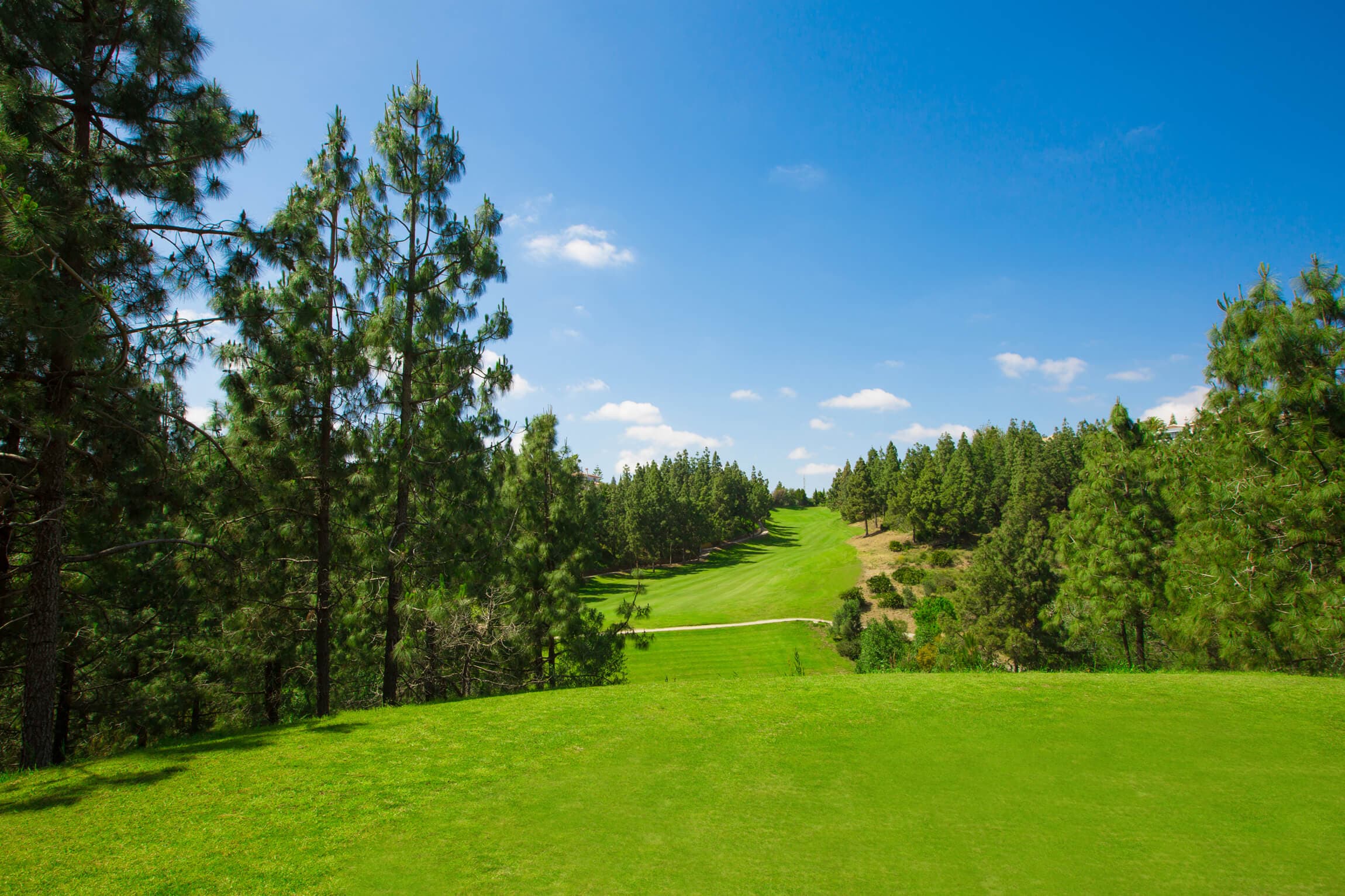 Main image of El Chaparral Golf Club